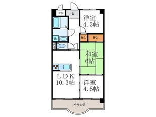 アネーロ長岡京の物件間取画像